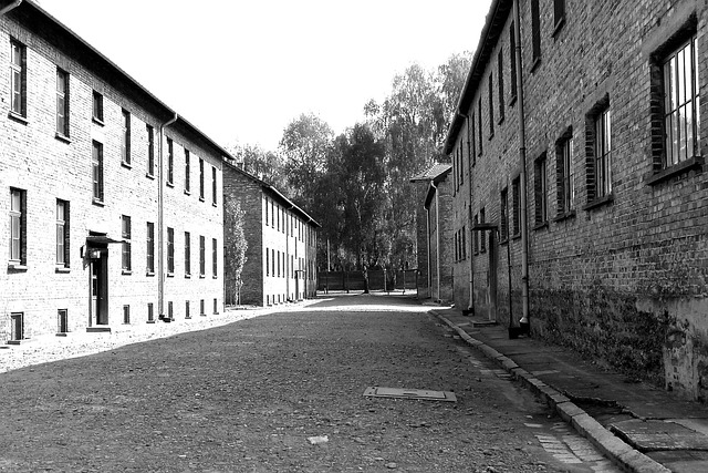 Free Poland Auschwitz photo and picture