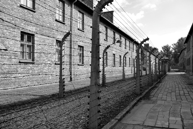 Free Poland Concentration Camp photo and picture