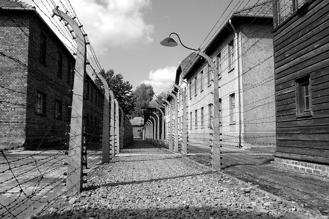 Free Poland Concentration Camp photo and picture