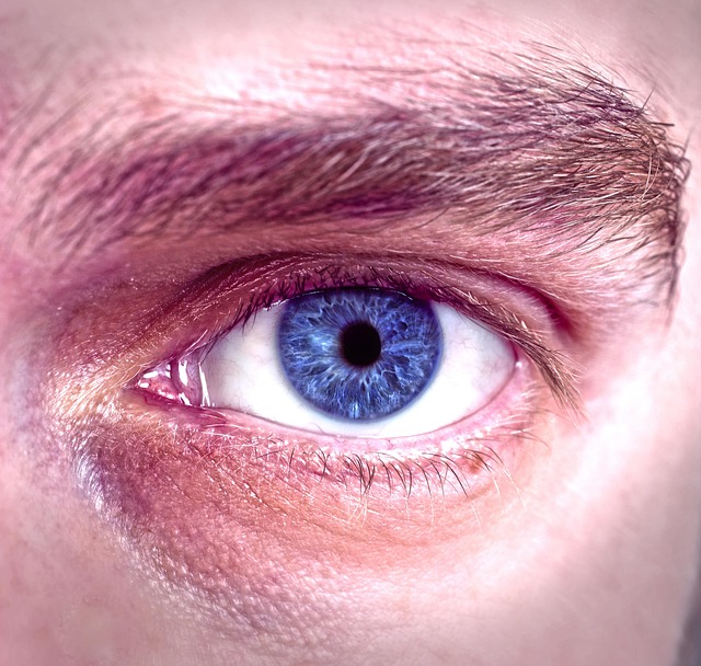 Free Eyelash Blue photo and picture