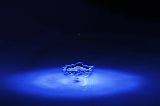 Azul, Derrubar, Natureza, Macro
