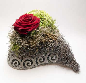Free Rose Flower photo and picture