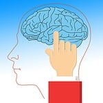brain, turn on, education