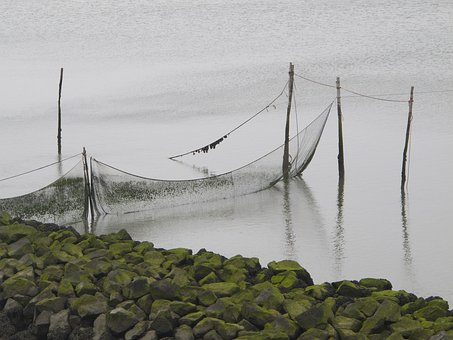 Free Sea Breakwater photo and picture