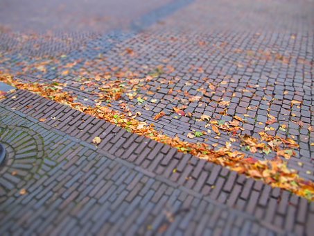 Free Sheets Autumn photo and picture