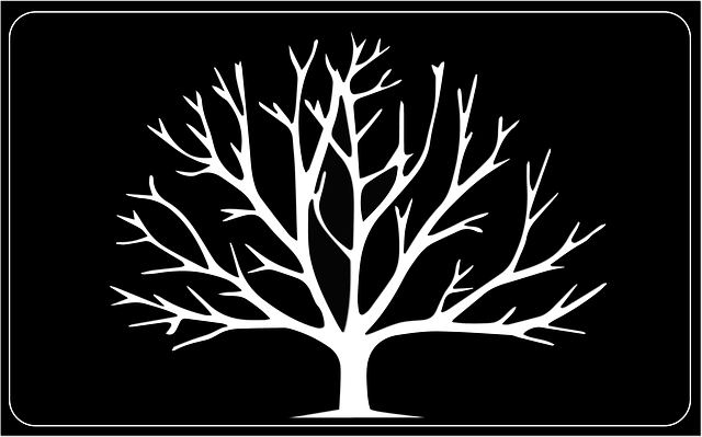 Free Tree Fall illustration and picture