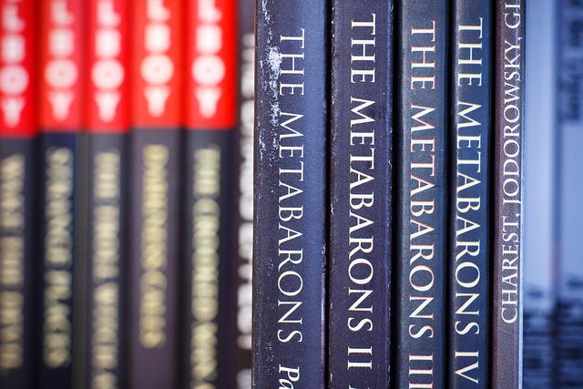 book, books, a shelf, archive, to read, soft cover, metabarons, red, black, grey, collection, comics