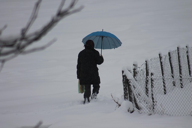 Vinter, Kvinde, Udendørs, Mennesker