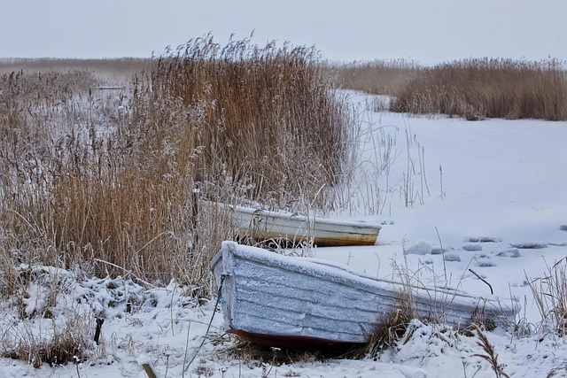 Free Winter Snow photo and picture