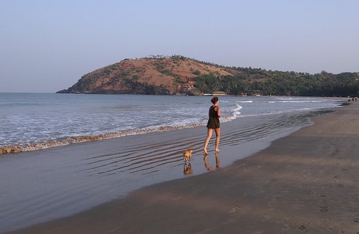 Chiot, Plage, Sable, Jouer, Jogger