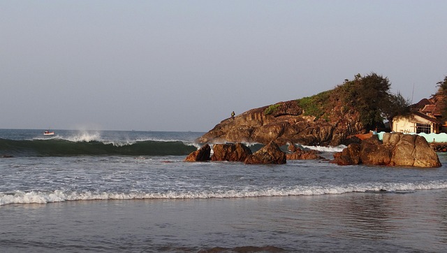 Free Sea Arabian photo and picture