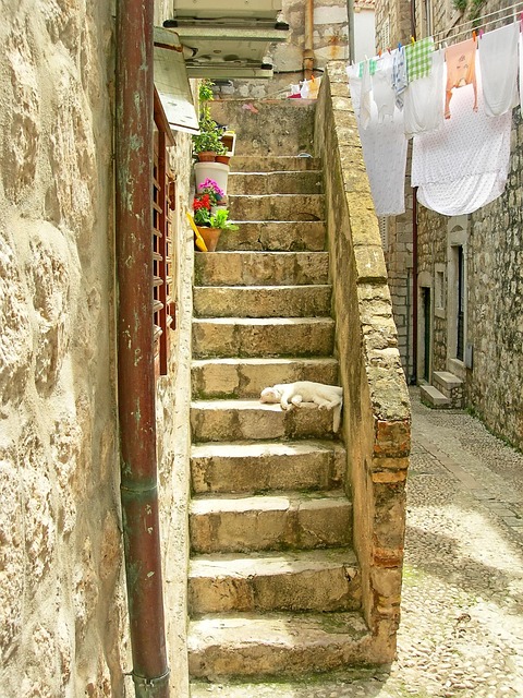 Free Cat Dubrovnik photo and picture
