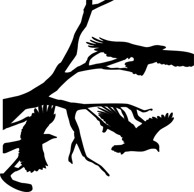 Free three crows raven illustration