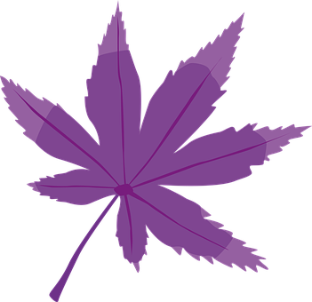 Folha, Árvore, Roxa, Natureza, Orgânico