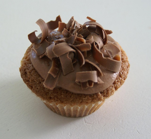 Free Cupcake Chocolate photo and picture