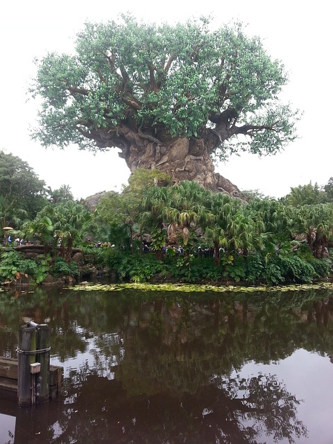 Tree Of Life Disney - Free photo on Pixabay