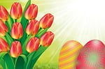 tulip, easter, egg