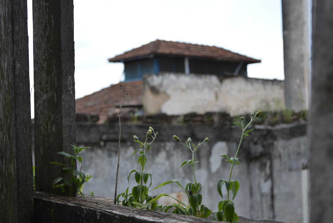 abandoned-634108_1280.jpg