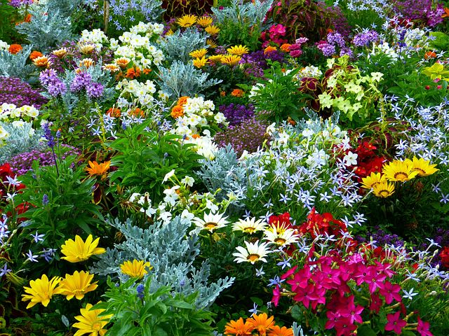 4.000+ kostenlose Sommerblumen und Blumentapete-Bilder - Pixabay