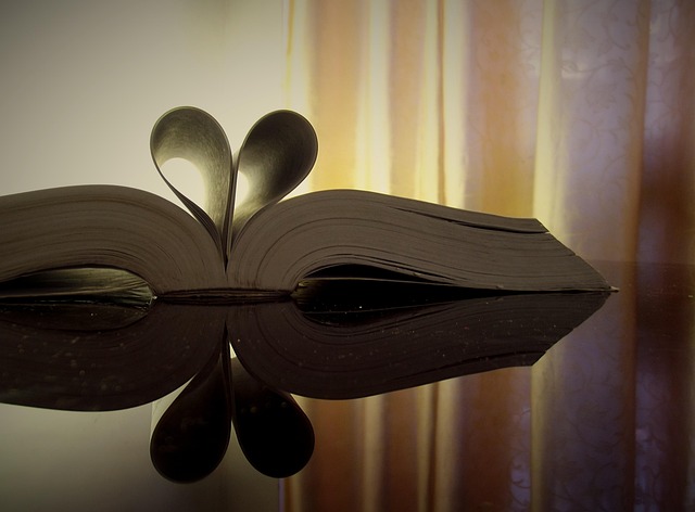 Offenes Buch, Buchen, Herz, Offen