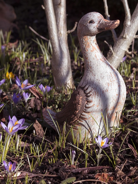 Free Porcelain Close Up photo and picture
