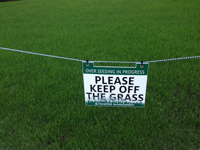 Free Keep Off Grass photo and picture
