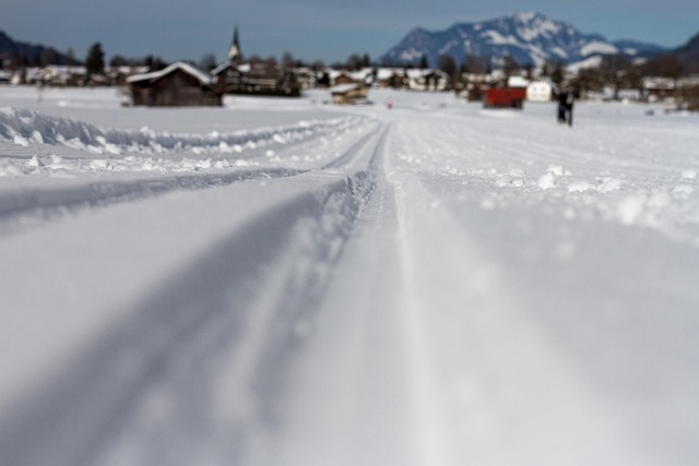 cross-country trails, cross country skiing, winter, snow trail, cross-country ski run, snow grooves, white, snow, nature, cold, oberstdorf, landscape, mountains, greened, allgäu