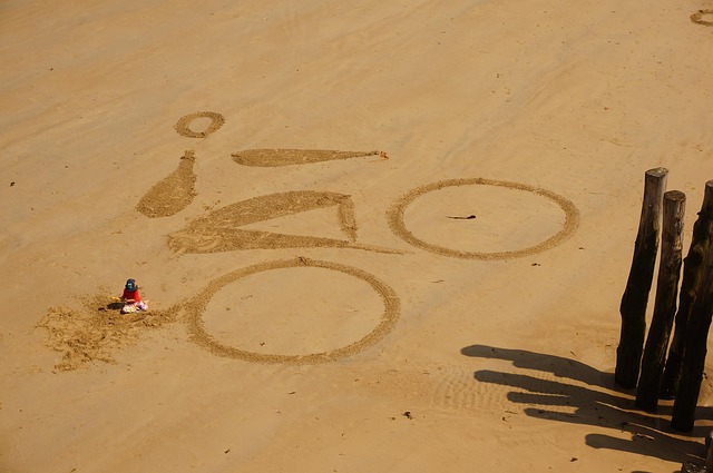 Free Beach Bicycle photo and picture