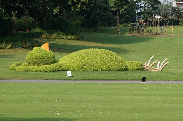 Free Botanical Garden Green Area photo and picture