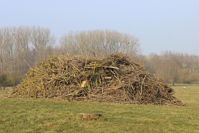 Hromada Dřeva, Větve, Velký Oheň