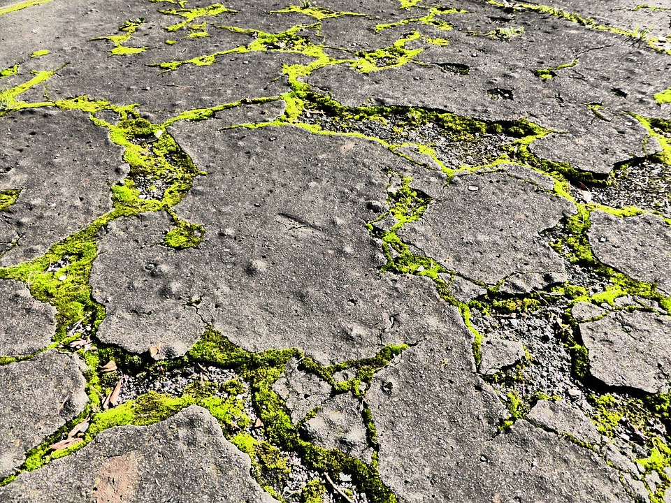 Concrete Moss Street · Free photo on Pixabay