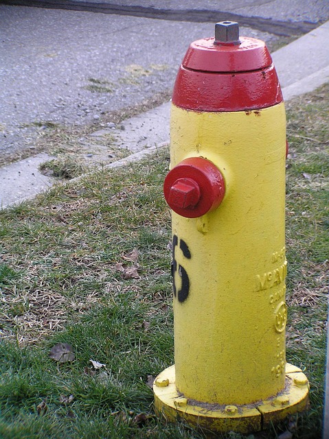 Boca De Aguas, Amarillo, Fuego, Equipo