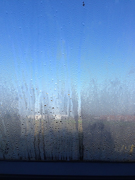 Fog Sky Window - Free photo on Pixabay - Pixabay