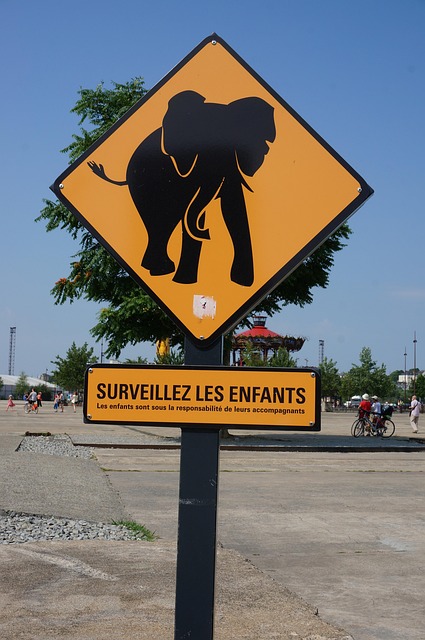 Free Elephant Character photo and picture