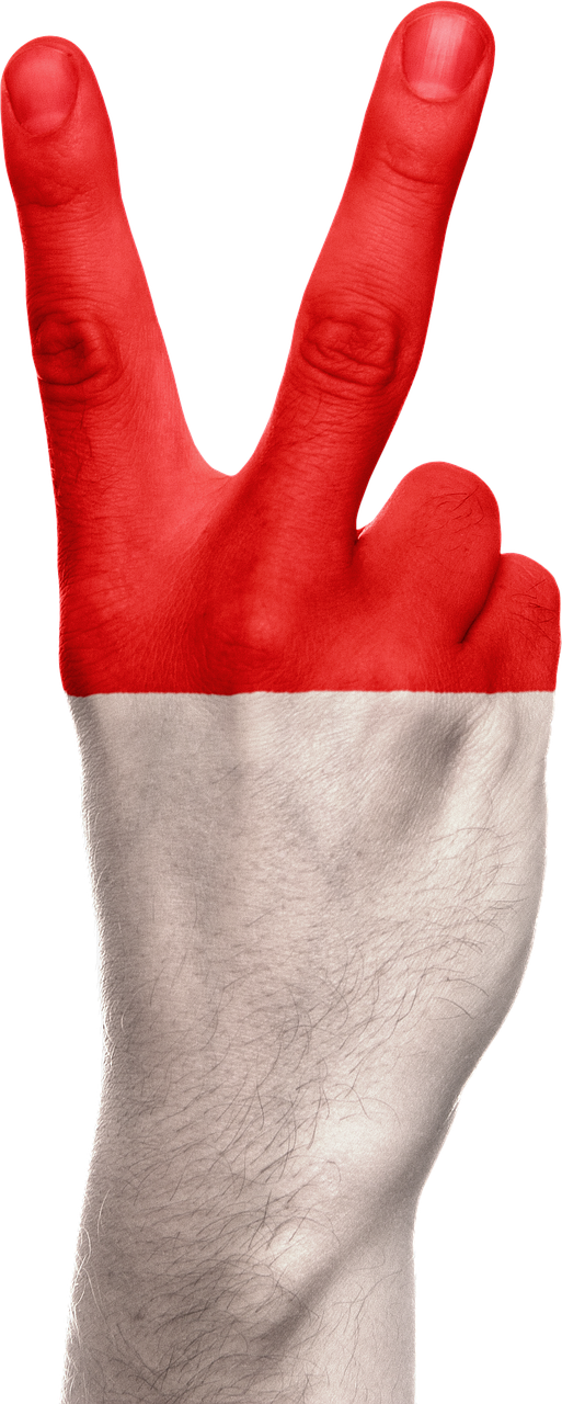 Indonesia Flag Hand Free Image On Pixabay