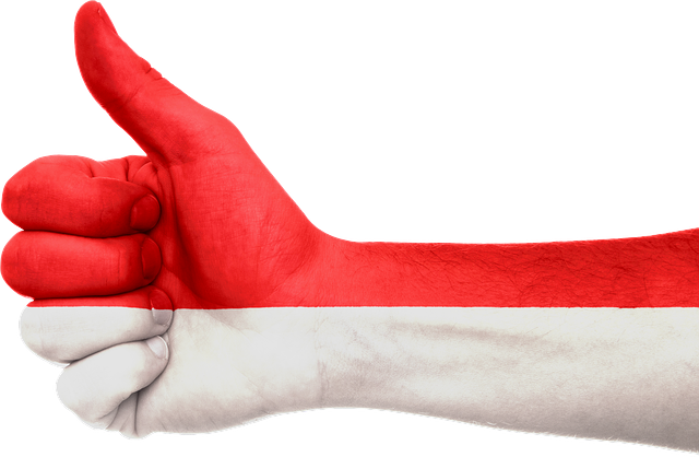 Free indonesia flag hand illustration