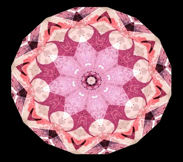 Free Pink Sun Burst illustration and picture