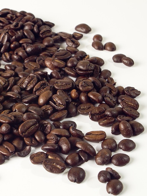 Free Coffee Seeds photo and picture