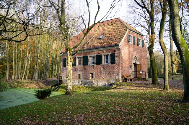 Hus, Skov, Natur, Hytte, Træ, Grøn, Eng