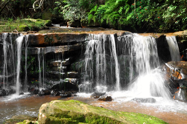 Free Nature Waterfall photo and picture