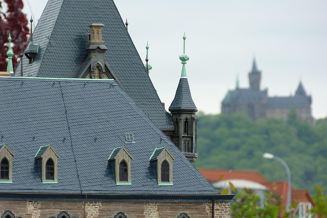Free Castle Wernigerode photo and picture