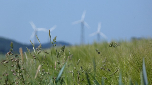 Free Windmill Pinwheels photo and picture
