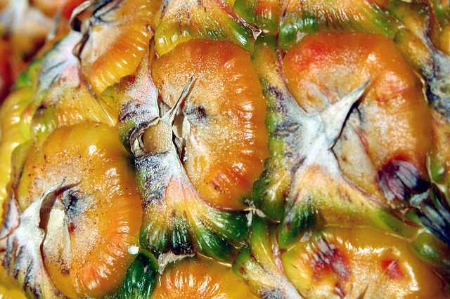 Free Pineapple Fruit photo and picture
