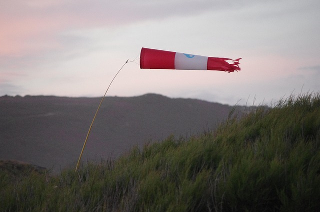 Free Wind Sea photo and picture