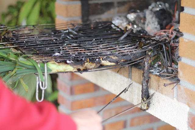 Free Calçots Power photo and picture