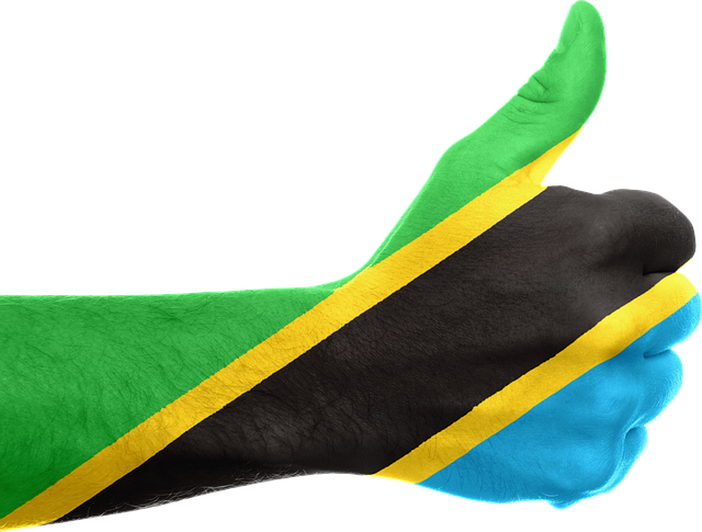 Free tanzania flag hand illustration