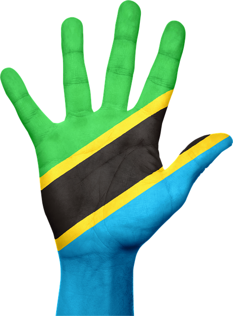 Free tanzania flag hand illustration