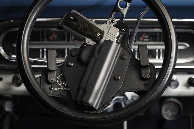 Free Holster Gun photo and picture