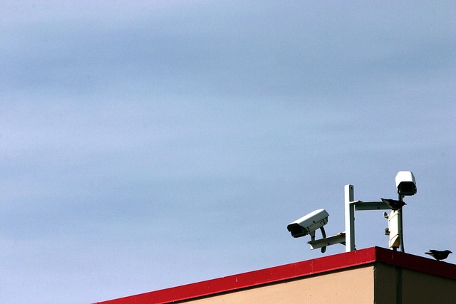 Free Security Camera photo and picture