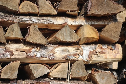 Free Wood Pile Of Wood photo and picture